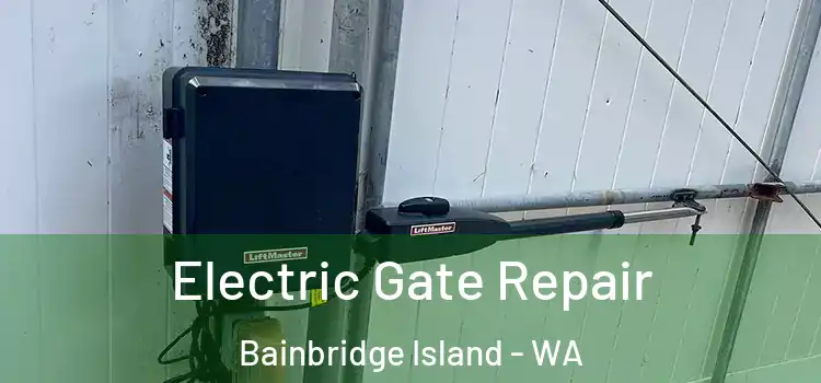 Electric Gate Repair Bainbridge Island - WA