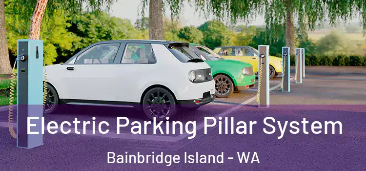 Electric Parking Pillar System Bainbridge Island - WA