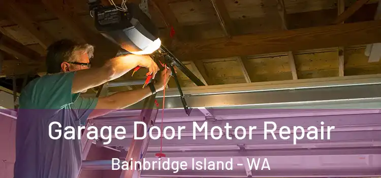  Garage Door Motor Repair Bainbridge Island - WA