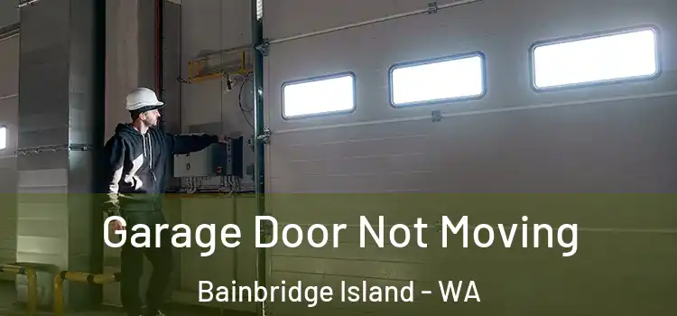  Garage Door Not Moving Bainbridge Island - WA