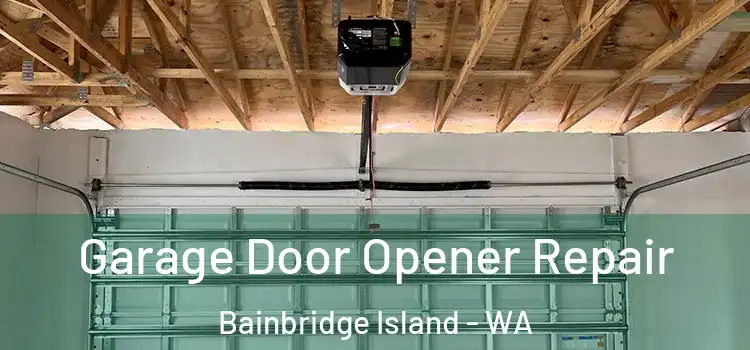  Garage Door Opener Repair Bainbridge Island - WA