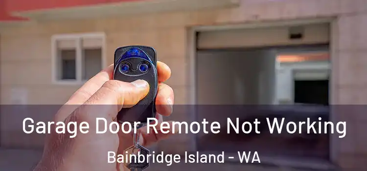  Garage Door Remote Not Working Bainbridge Island - WA
