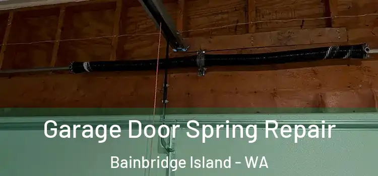  Garage Door Spring Repair Bainbridge Island - WA