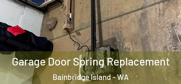  Garage Door Spring Replacement Bainbridge Island - WA