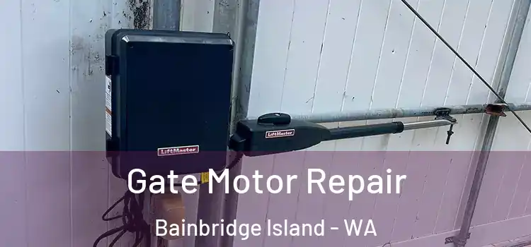Gate Motor Repair Bainbridge Island - WA