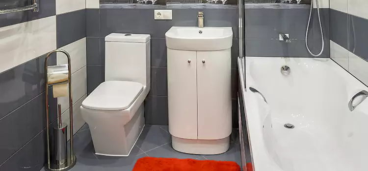 Hansgrohe Shaving Mirror Bainbridge Island