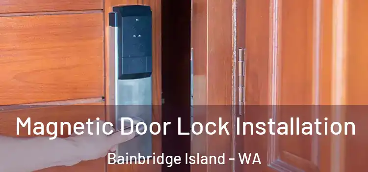  Magnetic Door Lock Installation Bainbridge Island - WA
