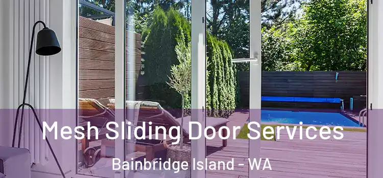 Mesh Sliding Door Services Bainbridge Island - WA