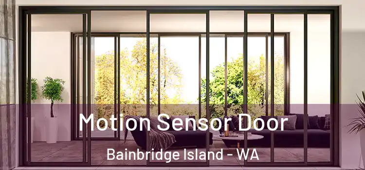 Motion Sensor Door Bainbridge Island - WA
